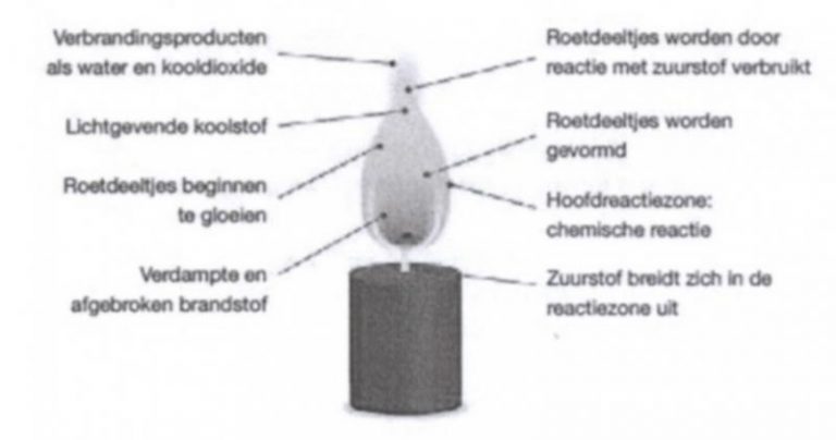 Alles over de kaars - Boca Kaarsen